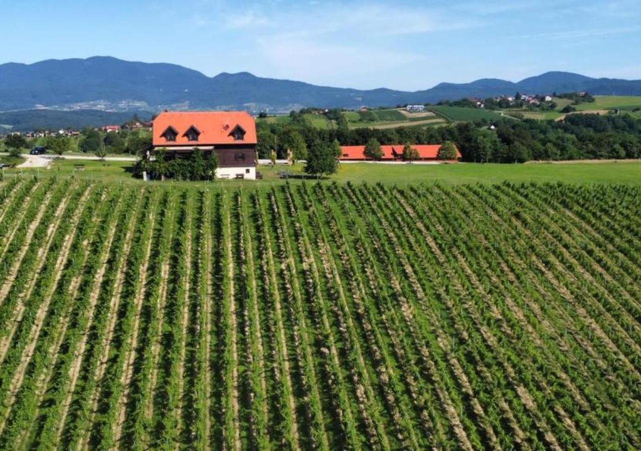 Rooms Bolfan Vinski Vrh Hrašćina Exterior foto